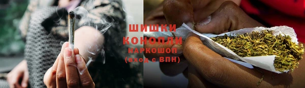 сатива Богданович