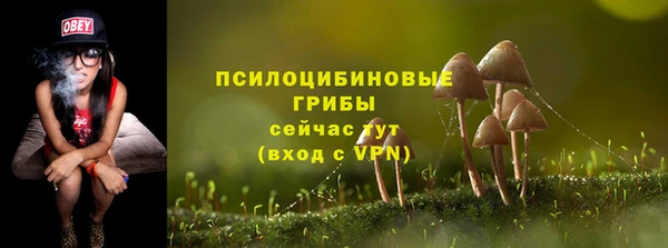 прущие грибы Белокуриха