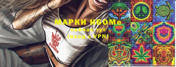 прущие грибы Белокуриха