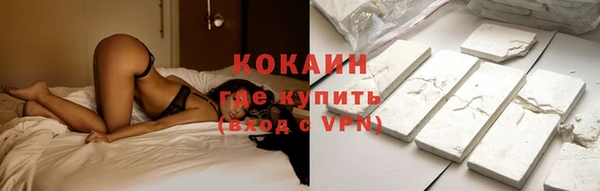 прущие грибы Белокуриха