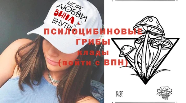 сатива Богданович